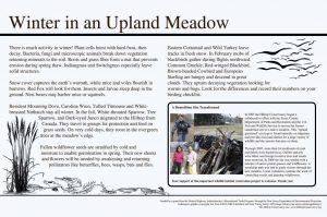 Interpretive signage - Hilltop Reservation