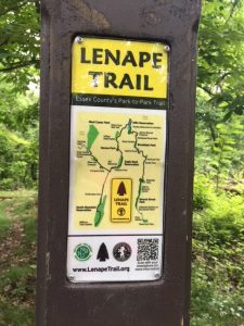 Lenape Trail - Hilltop Reservation
