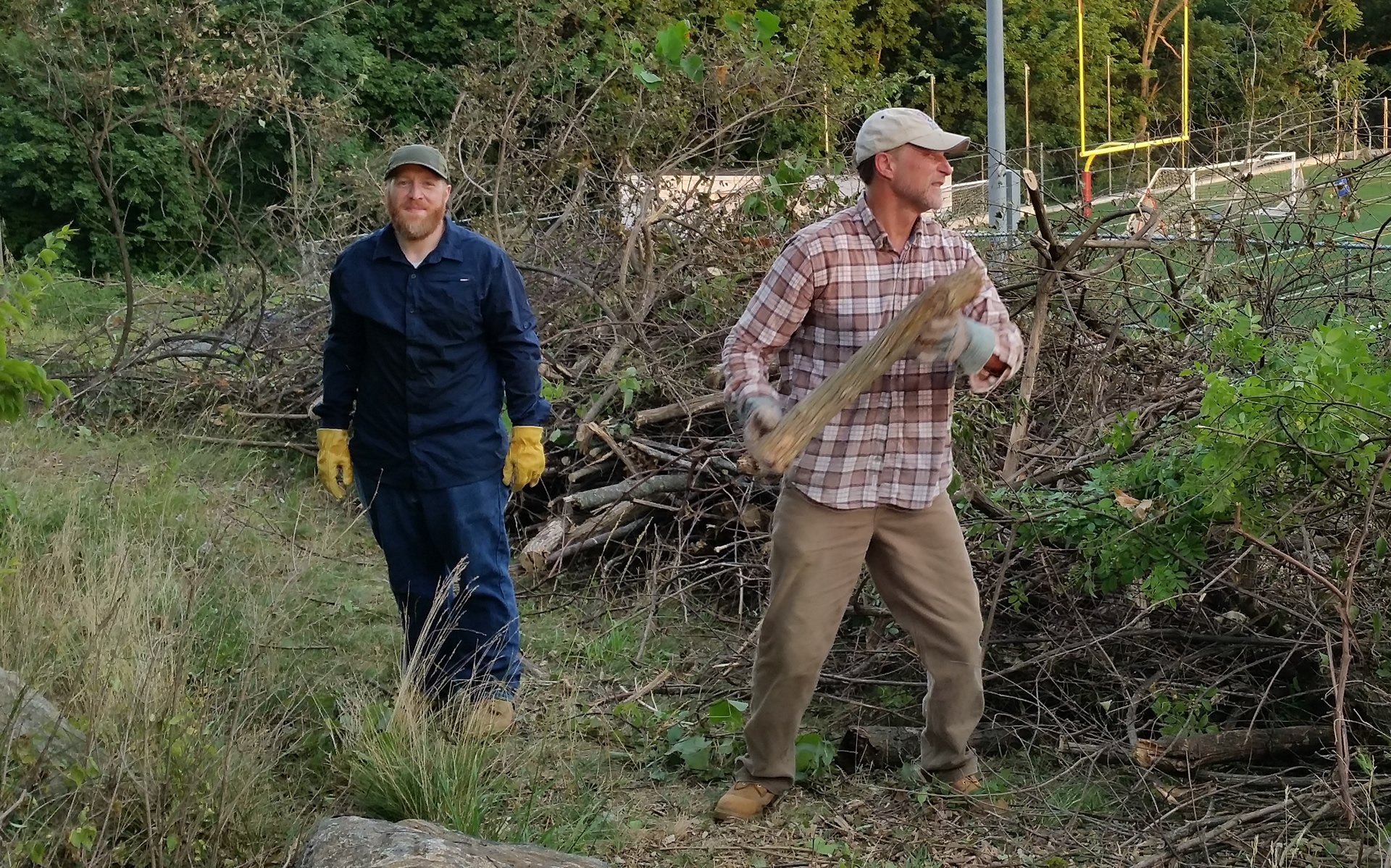 Hilltop Reservation - Clear Invasive Species