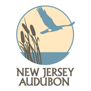 Partners Page - NJAS logo