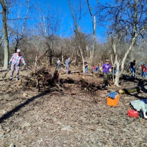 Hilltop pond site clearing