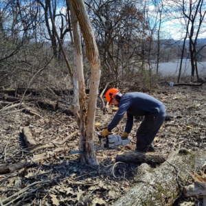 Hilltop - pond site clearing hard hat
