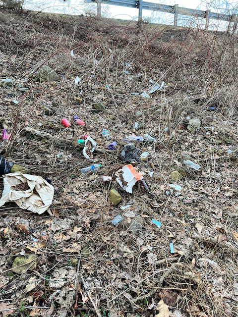 IMG_6777-(1)-Trash-thrown-into-the-Hilltop-from-the-parking-lot-by-the-Verona-water-tank-03.01.24